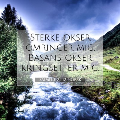Picture 07 - Salmene 22:12 NORSK - Sterke okser omringer mig, Basans okser - Bible Verse Picture