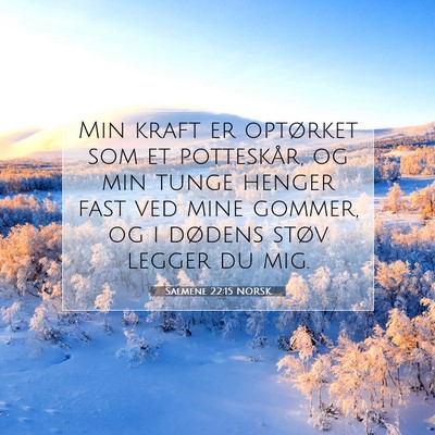 Picture 07 - Salmene 22:15 NORSK - Min kraft er optørket som et potteskår, og min - Bible Verse Picture