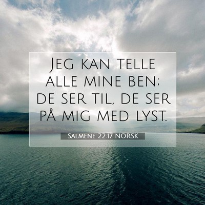 Picture 07 - Salmene 22:17 NORSK - Jeg kan telle alle mine ben; de ser til, de ser - Bible Verse Picture