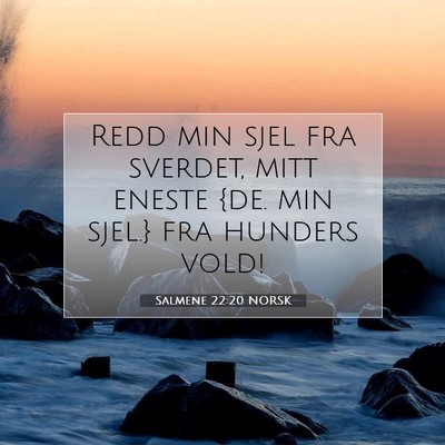 Picture 07 - Salmene 22:20 NORSK - Redd min sjel fra sverdet, mitt eneste {de. min - Bible Verse Picture
