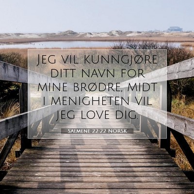 Picture 07 - Salmene 22:22 NORSK - Jeg vil kunngjøre ditt navn for mine brødre, - Bible Verse Picture
