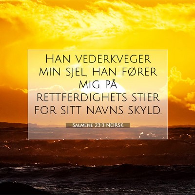 Picture 07 - Salmene 23:3 NORSK - Han vederkveger min sjel, han fører mig på - Bible Verse Picture