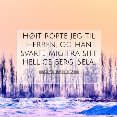 Picture 07 - Salmene 3:4 NORSK - Høit ropte jeg til Herren, og han svarte mig fra - Bible Verse Picture