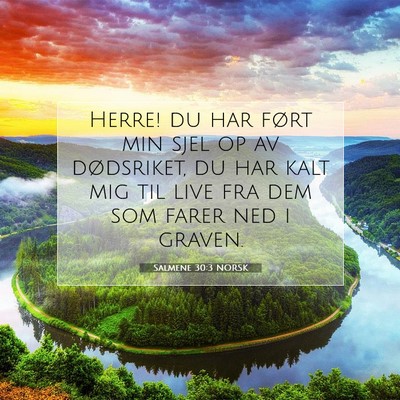 Picture 07 - Salmene 30:3 NORSK - Herre! du har ført min sjel op av dødsriket, du - Bible Verse Picture