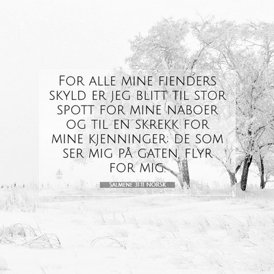 Picture 07 - Salmene 31:11 NORSK - For alle mine fienders skyld er jeg blitt til - Bible Verse Picture