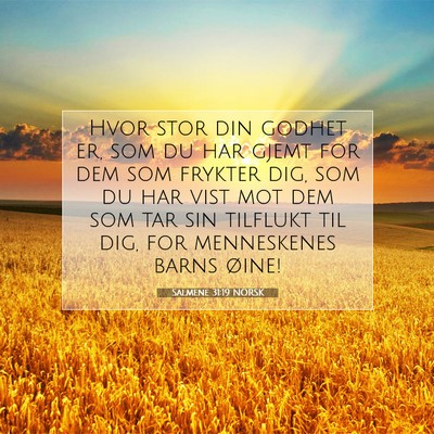 Picture 07 - Salmene 31:19 NORSK - Hvor stor din godhet er, som du har gjemt for dem - Bible Verse Picture