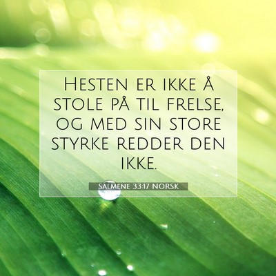 Picture 07 - Salmene 33:17 NORSK - Hesten er ikke å stole på til frelse, og med - Bible Verse Picture