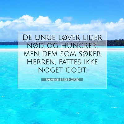 Picture 07 - Salmene 34:10 NORSK - De unge løver lider nød og hungrer, men dem som - Bible Verse Picture