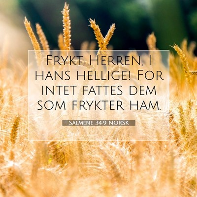 Picture 07 - Salmene 34:9 NORSK - Frykt Herren, I hans hellige! For intet fattes - Bible Verse Picture