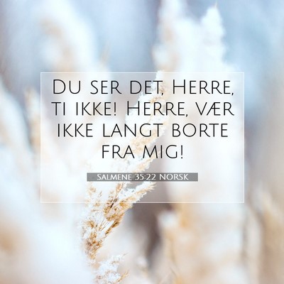 Picture 07 - Salmene 35:22 NORSK - Du ser det, Herre, ti ikke! Herre, vær ikke - Bible Verse Picture