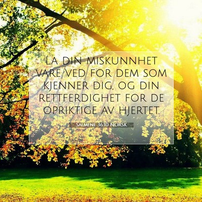 Picture 07 - Salmene 36:10 NORSK - La din miskunnhet vare ved for dem som kjenner - Bible Verse Picture