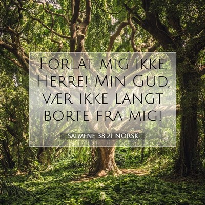 Picture 07 - Salmene 38:21 NORSK - Forlat mig ikke, Herre! Min Gud, vær ikke langt - Bible Verse Picture