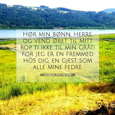 Picture 07 - Salmene 39:12 NORSK - Hør min bønn, Herre, og vend øret til mitt - Bible Verse Picture