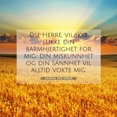 Picture 07 - Salmene 40:11 NORSK - Du, Herre, vil ikke lukke din barmhjertighet for - Bible Verse Picture
