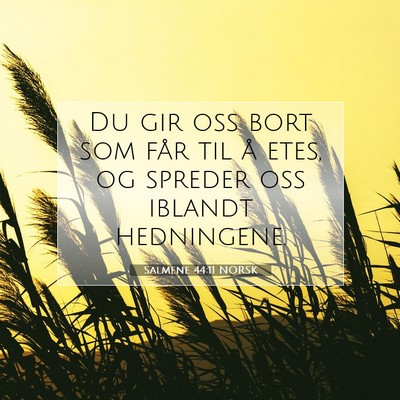 Picture 07 - Salmene 44:11 NORSK - Du gir oss bort som får til å etes, og spreder - Bible Verse Picture
