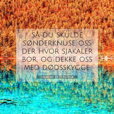 Picture 07 - Salmene 44:19 NORSK - så du skulde sønderknuse oss der hvor sjakaler - Bible Verse Picture