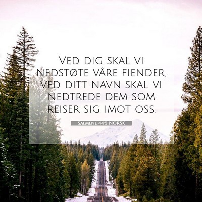 Picture 07 - Salmene 44:5 NORSK - Ved dig skal vi nedstøte våre fiender, ved ditt - Bible Verse Picture