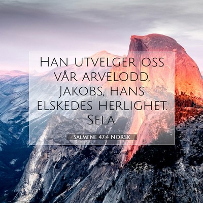 Picture 07 - Salmene 47:4 NORSK - Han utvelger oss vår arvelodd, Jakobs, hans - Bible Verse Picture