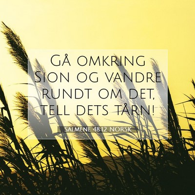 Picture 07 - Salmene 48:12 NORSK - Gå omkring Sion og vandre rundt om det, tell - Bible Verse Picture