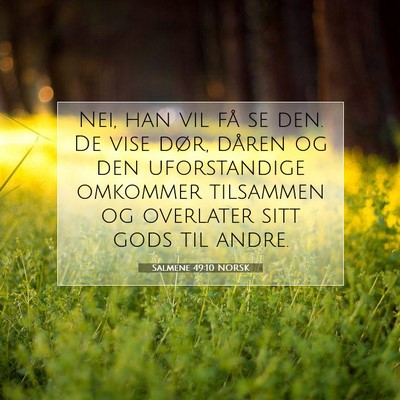 Picture 07 - Salmene 49:10 NORSK - Nei, han vil få se den. De vise dør, dåren og - Bible Verse Picture