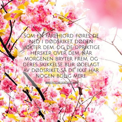 Picture 07 - Salmene 49:14 NORSK - Som en fårehjord føres de ned i dødsriket, - Bible Verse Picture