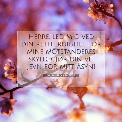 Picture 07 - Salmene 5:8 NORSK - Herre, led mig ved din rettferdighet for mine - Bible Verse Picture