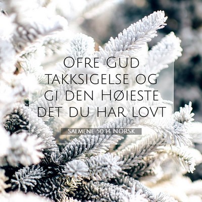 Picture 07 - Salmene 50:14 NORSK - Ofre Gud takksigelse og gi den Høieste det du - Bible Verse Picture