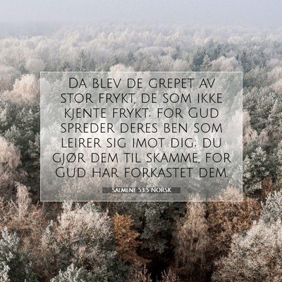 Picture 07 - Salmene 53:5 NORSK - Da blev de grepet av stor frykt, de som ikke - Bible Verse Picture