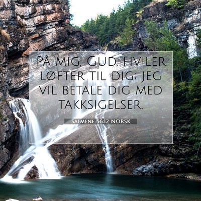 Picture 07 - Salmene 56:12 NORSK - På mig, Gud, hviler løfter til dig; jeg vil - Bible Verse Picture