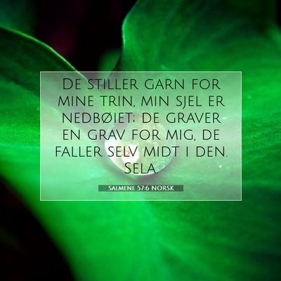 Picture 07 - Salmene 57:6 NORSK - De stiller garn for mine trin, min sjel er - Bible Verse Picture