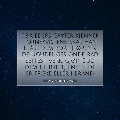 Picture 07 - Salmene 58:9 NORSK - Før eders gryter kjenner tornekvistene, skal han - Bible Verse Picture