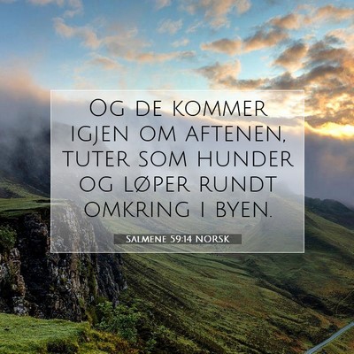 Picture 07 - Salmene 59:14 NORSK - Og de kommer igjen om aftenen, tuter som hunder - Bible Verse Picture