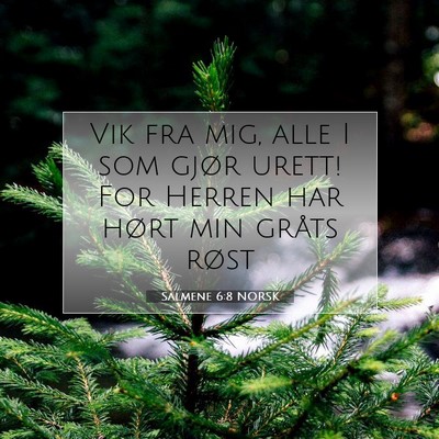 Picture 07 - Salmene 6:8 NORSK - Vik fra mig, alle I som gjør urett! For Herren - Bible Verse Picture