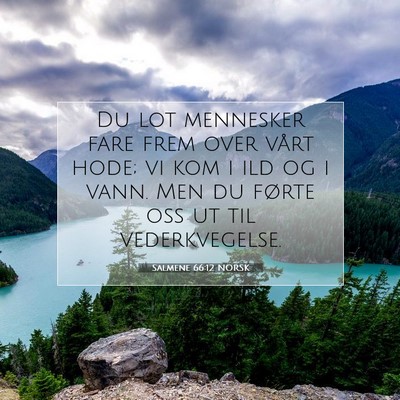 Picture 07 - Salmene 66:12 NORSK - Du lot mennesker fare frem over vårt hode; vi - Bible Verse Picture