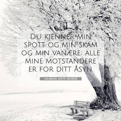 Picture 07 - Salmene 69:19 NORSK - Du kjenner min spott og min skam og min vanære; - Bible Verse Picture