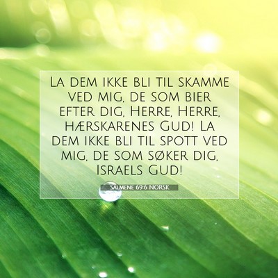 Picture 07 - Salmene 69:6 NORSK - La dem ikke bli til skamme ved mig, de som bier - Bible Verse Picture