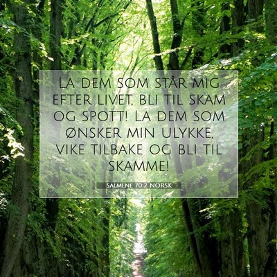 Picture 07 - Salmene 70:2 NORSK - La dem som står mig efter livet, bli til skam og - Bible Verse Picture