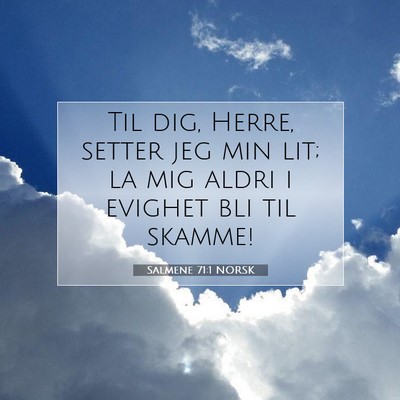 Picture 07 - Salmene 71:1 NORSK - Til dig, Herre, setter jeg min lit; la mig aldri - Bible Verse Picture