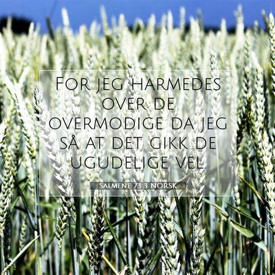 Picture 07 - Salmene 73:3 NORSK - For jeg harmedes over de overmodige da jeg så at - Bible Verse Picture