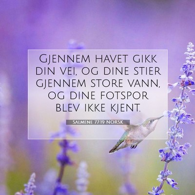 Picture 07 - Salmene 77:19 NORSK - Gjennem havet gikk din vei, og dine stier gjennem - Bible Verse Picture