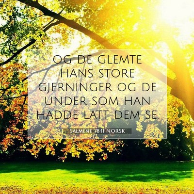Picture 07 - Salmene 78:11 NORSK - og de glemte hans store gjerninger og de under - Bible Verse Picture