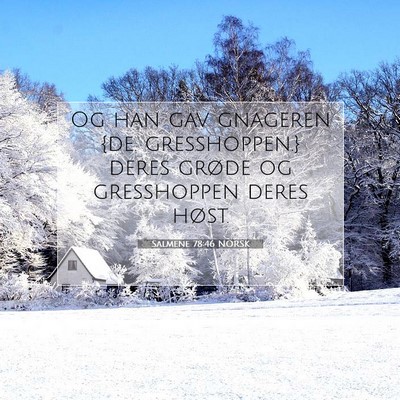 Picture 07 - Salmene 78:46 NORSK - Og han gav gnageren {de. gresshoppen.} deres - Bible Verse Picture
