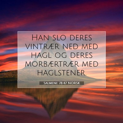 Picture 07 - Salmene 78:47 NORSK - Han slo deres vintrær ned med hagl og deres - Bible Verse Picture