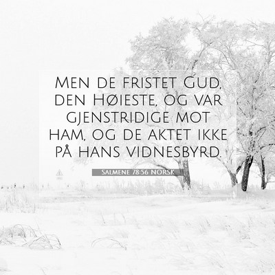Picture 07 - Salmene 78:56 NORSK - Men de fristet Gud, den Høieste, og var - Bible Verse Picture