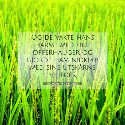 Picture 07 - Salmene 78:58 NORSK - Og de vakte hans harme med sine offerhauger og - Bible Verse Picture
