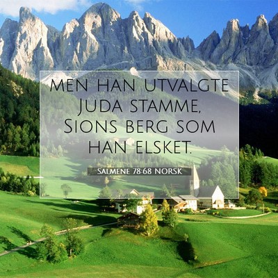 Picture 07 - Salmene 78:68 NORSK - men han utvalgte Juda stamme, Sions berg som han - Bible Verse Picture