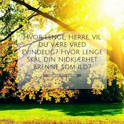 Picture 07 - Salmene 79:5 NORSK - Hvor lenge, Herre, vil du være vred evindelig? - Bible Verse Picture