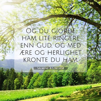 Picture 07 - Salmene 8:5 NORSK - Og du gjorde ham lite ringere enn Gud, og med - Bible Verse Picture