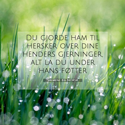 Picture 07 - Salmene 8:6 NORSK - Du gjorde ham til hersker over dine henders - Bible Verse Picture