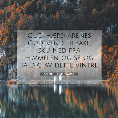 Picture 07 - Salmene 80:14 NORSK - Gud, hærskarenes Gud, vend tilbake, sku ned fra - Bible Verse Picture